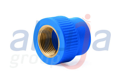 KPT Pneumato Female Threaded Adaptor fitting – Ahuja Group