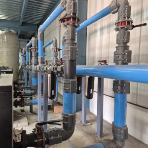 WhatsApp Image 2025-08-21 at 12.23.41 PM