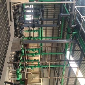 WhatsApp Image 2025-08-21 at 12.25.24 PM (1)