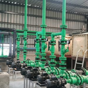 WhatsApp Image 2025-08-21 at 12.25.25 PM