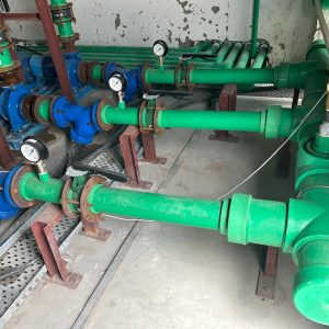 WhatsApp Image 2025-08-21 at 12.25.27 PM